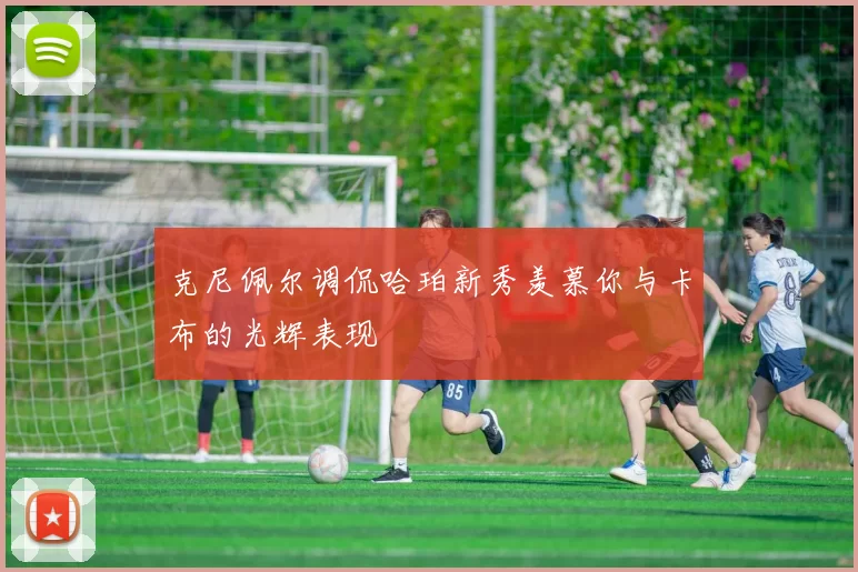 克尼佩尔调侃哈珀新秀羡慕你与卡布的光辉表现